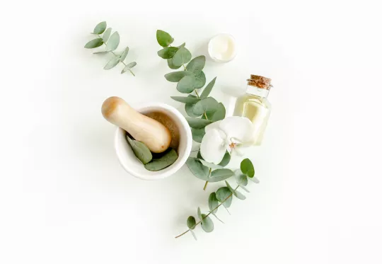 Les biens faits de l’aloe vera sur le visage